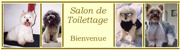 Cliquer pour Entrer!