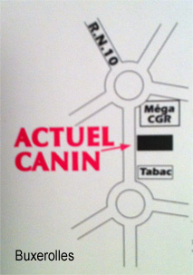 Plan du quartier Buxerolles Actuel Canin