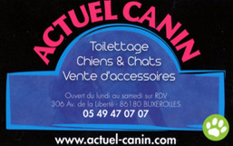 Chiens et chats