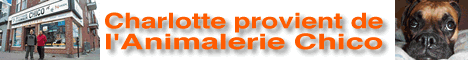 banni�re publicitaire